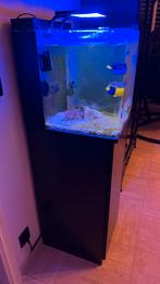 Zee aquarium, Ophalen, Zo goed als nieuw