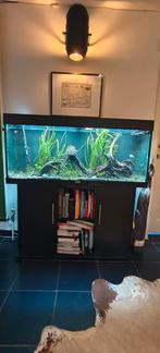 Aquarium incl inhoud ter overname, Dieren en Toebehoren, Vissen | Aquaria en Toebehoren, Ophalen, Zo goed als nieuw