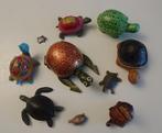Collectie 9, 10 schildpadden, Ophalen of Verzenden, Gebruikt, Reptiel of Amfibie, Overige typen