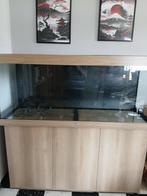 aquarium, Dieren en Toebehoren, Vissen | Aquaria en Toebehoren, Ophalen, Zo goed als nieuw, Leeg aquarium