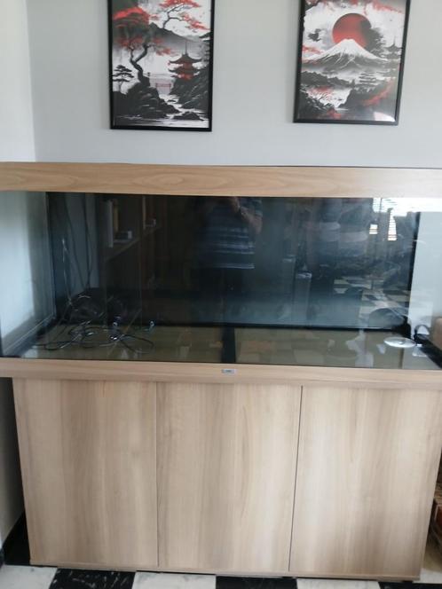 aquarium, Dieren en Toebehoren, Vissen | Aquaria en Toebehoren, Zo goed als nieuw, Leeg aquarium, Ophalen