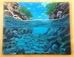 Schilderij Onderwaterwereld, Antiek en Kunst, Ophalen