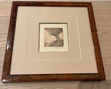 Gravure Vlaams zicht met knotwilg beschikbaar voor biedingen