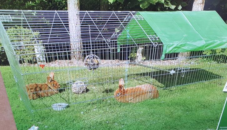 kippenren konijnenren , met puntdak gegalvaniseerd, Dieren en Toebehoren, Pluimvee | Toebehoren, Nieuw, Ophalen of Verzenden