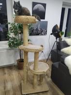 Gratis kattenkrabpaal af te halen, Ophalen, Gebruikt, Krabpaal
