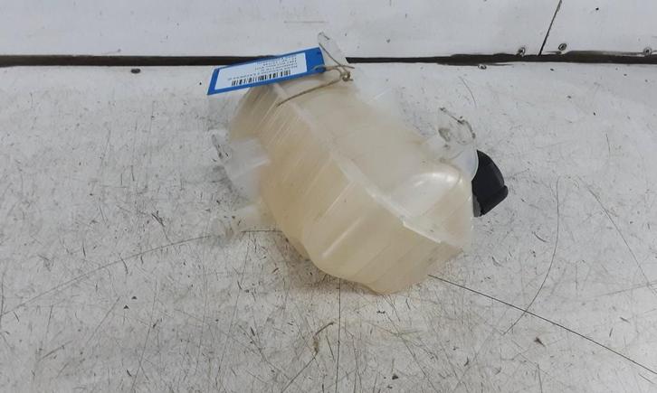 EXPANSIERESERVOIR Renault Kangoo Express (FW) (8200455786), Auto-onderdelen, Overige Auto-onderdelen, Renault, Gebruikt