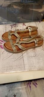 Chaussure sandale femme., Autres couleurs, Enlèvement ou Envoi, Sandales et Mûles, Neuf