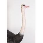 Ostrich – Struisvogel beeld - 213 cm, Verzamelen, Nieuw, Ophalen of Verzenden
