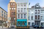Opbrengsteigendom te koop in Antwerpen, 3 slpks, Vrijstaande woning, 3 kamers, 255 kWh/m²/jaar, 336 m²