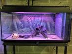 Aquarium de 200 L, Dieren en Toebehoren, Gebruikt, Ophalen of Verzenden, Leeg aquarium