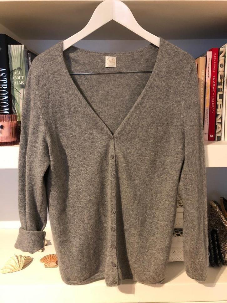 Des petits hauts cardigan / vest / sweater in mohair, Kleding | Dames, Truien en Vesten, Zo goed als nieuw, Maat 38/40 (M), Ophalen of Verzenden