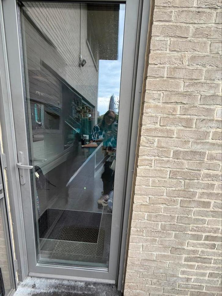 Aluminium deur merk Profel, Doe-het-zelf en Bouw, Deuren en Vliegenramen, Gebruikt, Buitendeur, 215 cm of meer, 80 tot 100 cm