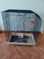 Vogelkooi met toebehoren., Ophalen, Zo goed als nieuw, Vogelkooi