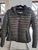 groene getailleerde winterjas, Kleding | Dames, Jassen | Winter, Zo goed als nieuw, Groen, Ophalen, Maat 38/40 (M)