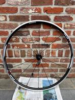 Voorwiel - Shimano WH-RS11 - Velgrem, Racefiets, Nieuw, Shimano, Ophalen