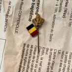 Kroonpijnboom met oude Belgische vlag, Verzamelen, Ophalen of Verzenden, Zo goed als nieuw