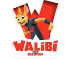 4 ééndags tickets Walibi Waver, Tickets en Kaartjes, Recreatie | Pretparken en Attractieparken