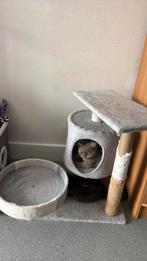 Gratis kleine krabpaal, Dieren en Toebehoren, Ophalen, Zo goed als nieuw