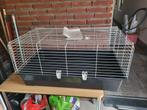 Kooi/slaaphok konijn of cavia, Ophalen, Zo goed als nieuw, Kooi, Cavia