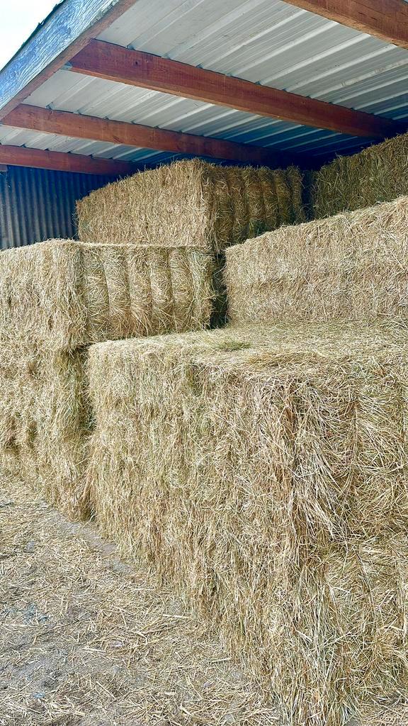 Kwaliteitshooi voor paarden te koop, Dieren en Toebehoren, Dierenvoeding, Ophalen