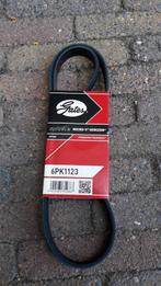 Multi v-riem voor Citroën C3, Golf 4 en vele anderen. Nieuw., Enlèvement ou Envoi, Neuf, Seat