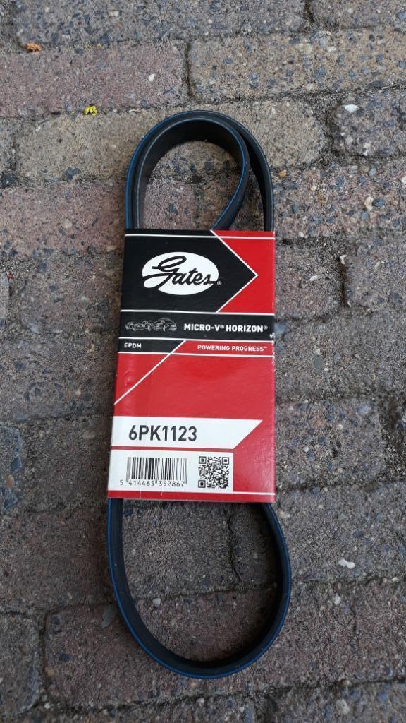 Multi v-riem voor Citroën C3, Golf 4 en vele anderen. Nieuw., Autos : Pièces & Accessoires, Moteurs & Accessoires, Audi, Citroën