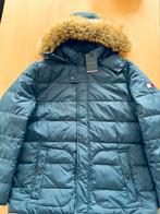 Nieuwe donsjas Tommy Hilfiger maat XL, Blauw, Ophalen of Verzenden, Tommy hilfiger, Maat 56/58 (XL)