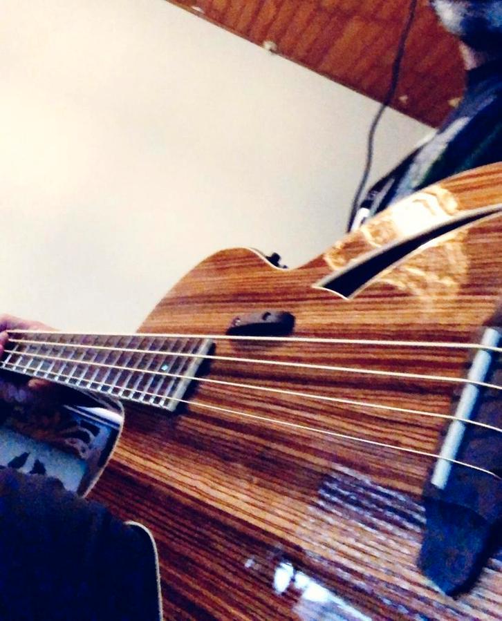 ESP LTD TL-4 Semi-Hollow Bass –incl. hardcase, Muziek en Instrumenten, Snaarinstrumenten | Gitaren | Bas, Zo goed als nieuw, Semi-akoestisch