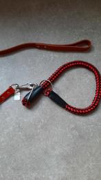 Lederen Hondenriem met halsband. NIEUW, Dieren en Toebehoren, Ophalen of Verzenden, Zo goed als nieuw
