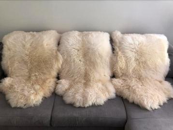 Echte schapenvachten XXL - 135cm beschikbaar voor biedingen
