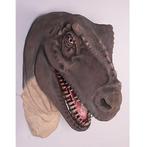 T-Rex Head Jumbo – Dinosaurus beeld Hoogte 84 cm, Ophalen, Nieuw