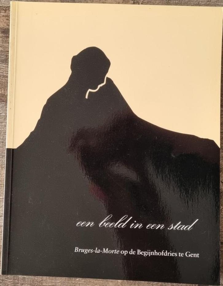 Een beeld in een stad - Bruges-la-Morte op de Begijnhofdries, Boeken, Kunst en Cultuur | Beeldend, Zo goed als nieuw, Beeldhouwkunst