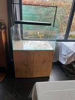 Aquarium 243l, Dieren en Toebehoren, Ophalen, Zo goed als nieuw