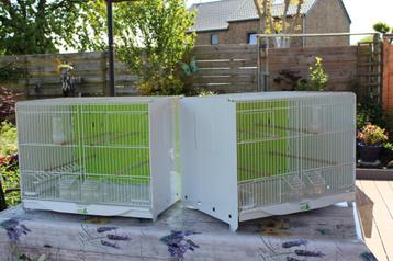 2 cages élevage STA "La Sessanta, Ophalen, Zo goed als nieuw, Metaal, Broedkooi of Kweekkooi