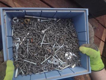 Bak met 5 kilo vijzen beschikbaar voor biedingen