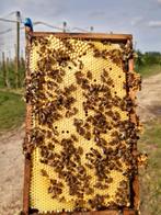 Leuke bijenvolken., Abeilles