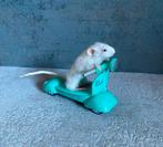 Mr. Scooter - taxidermie muis, Enlèvement ou Envoi