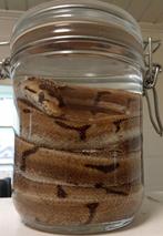 Ballpython op sterk water, Collections, Collections Animaux, Enlèvement