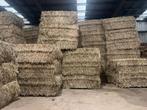 Hooi, Zakelijke goederen, Landbouw | Veevoer, Ophalen of Verzenden