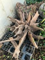 Gedroogde propere wortels ideaal voor salontafel project, Enlèvement