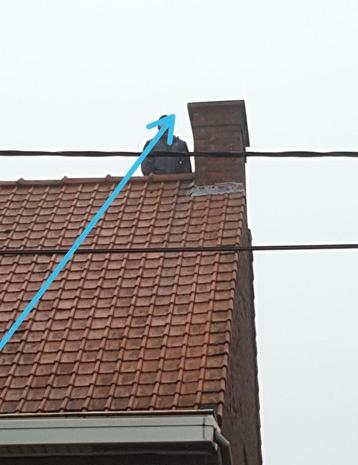 Dak Renovatie en veel meer 28€ beschikbaar voor biedingen