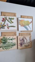 Artis Brussels Sapplants/succulentes - 4 séries complexes, Collections, Enlèvement ou Envoi, Utilisé