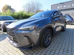 Lexus NX 450h+ 450H 2.5i PHEV AWD Executive Line E-CVT PLUG, Autos, Lexus, Cuir, Argent ou Gris, Achat, 2487 cm³