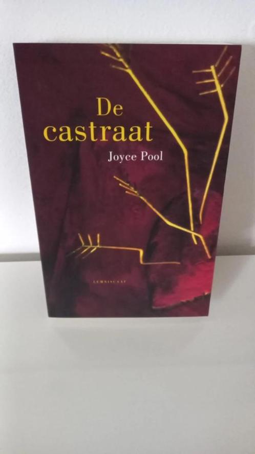 Boek : De Castraat ( Nieuw ), Livres, Livres pour enfants | Jeunesse | 13 ans et plus, Neuf, Enlèvement ou Envoi