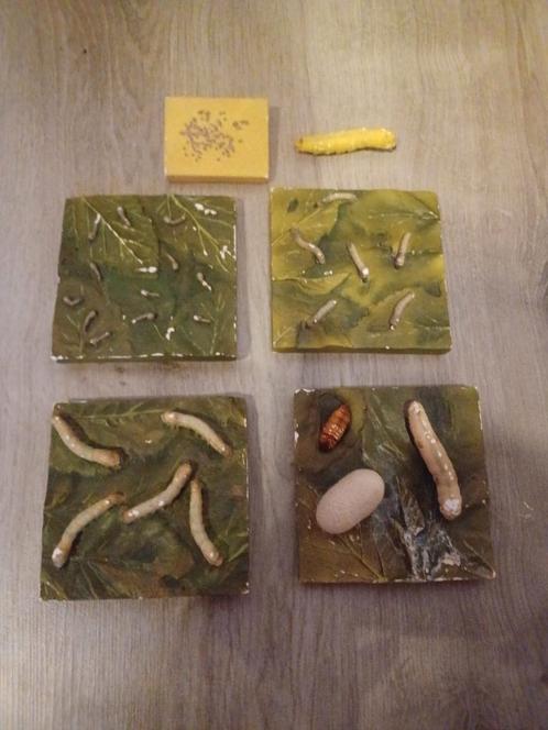 Plâtres ancien polychrome d'Entomologiste, Antiek en Kunst, Curiosa en Brocante, Ophalen of Verzenden