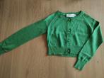 Feestelijke groene gilet Blue Bay 122, Kinderen en Baby's, Kinderkleding | Maat 122, Meisje, Trui of Vest, Ophalen of Verzenden