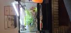 Terrarium tropical aménagé avec sol bioactif et brumisation, Ophalen, Verlichting