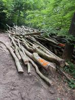 Bois de chauffage Hètre FRAIS à vendre, Ophalen of Verzenden, Nieuw