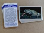 Britain's Nocturnal Wildlife complete set 30 chromos 1987, Verzamelen, Foto's en Prenten, Ophalen of Verzenden, 1980 tot heden