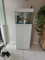 Aquarium met kast, Dieren en Toebehoren, Ophalen, Gebruikt, Leeg aquarium